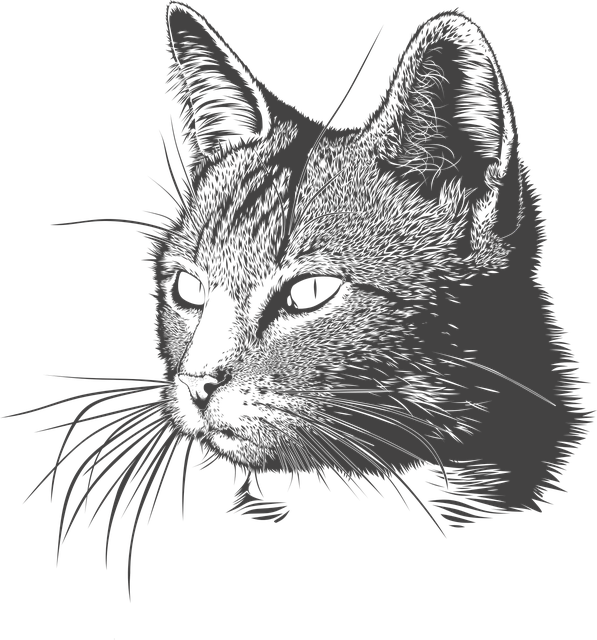 Cat portrait